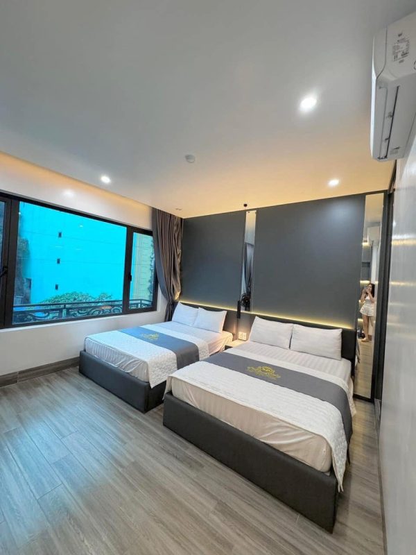 Tour Trọn Gói Hà Nội  Cát Bà 2 Ngày 1 Đêm - Hình ảnh 2