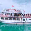tàu daiichi cruise