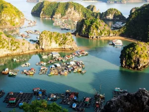 tour cát bà 2 ngày 1 đêm