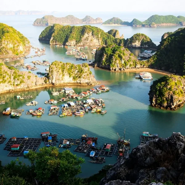 tour cát bà 2 ngày 1 đêm