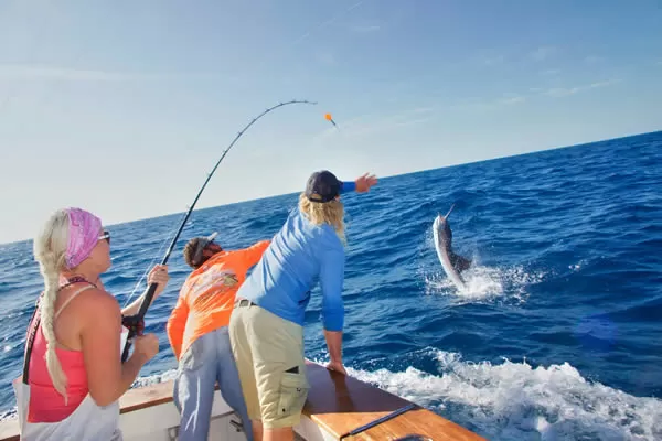 FISHING TOUR ON THE SEA