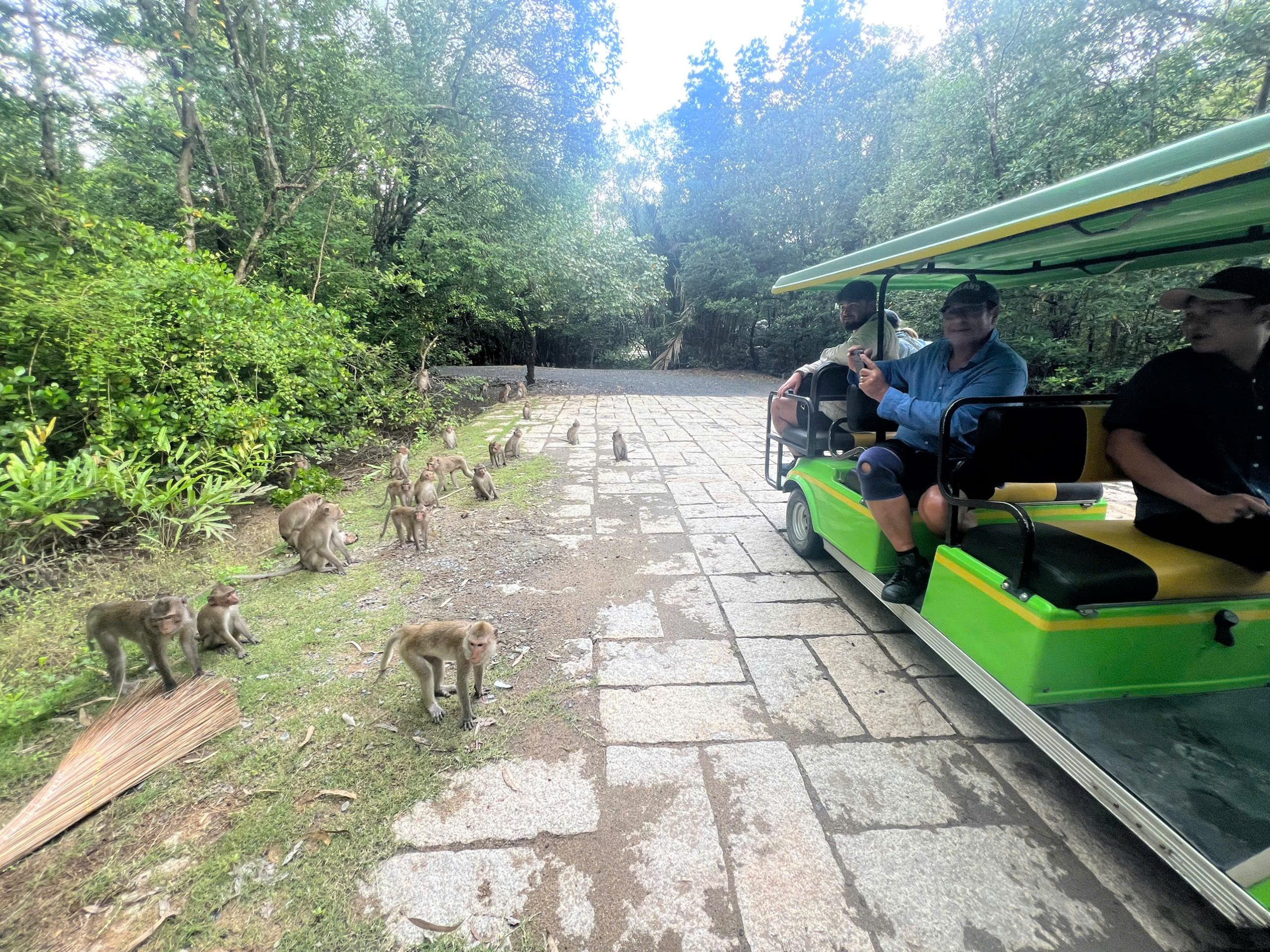 CAN GIO MANGROVE FOREST BY CAR & SPEEDBOAT
