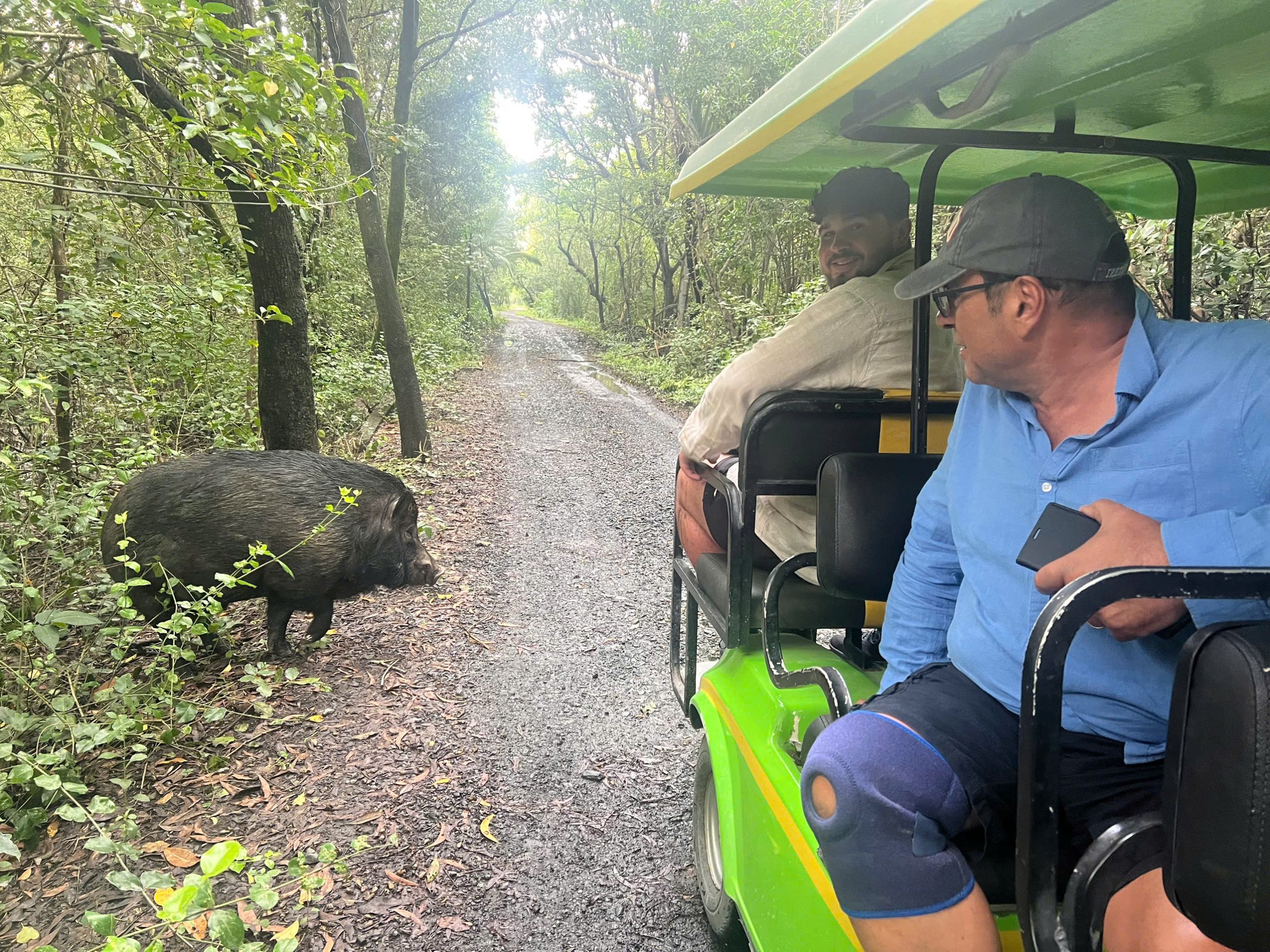 CAN GIO MANGROVE FOREST BY CAR & SPEEDBOAT