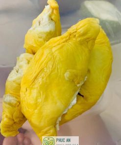 sầu riêng ri 6 - cây giống phúc an