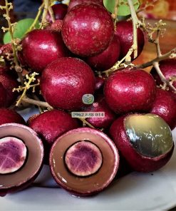 Cận cảnh trái nhãn long tím