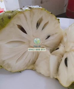 Trái mãng cầu xiêm Thái phẩm chất ngon