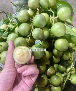 Cây giống dâu da xanh (dâu xanh gia bảo)