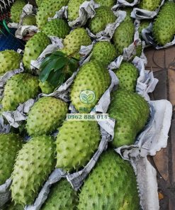 Trái mãng cầu xiêm thái