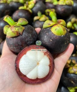 Từ lúc ra hoa đến khi thu hoạch măng cụt Thái cần 4 tháng