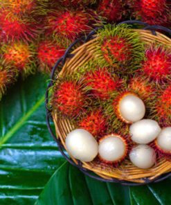 Trái chôm chôm indo (chôm chôm java)