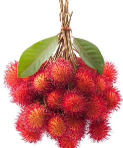 Chùm chôm chôm indo đẹp mắt