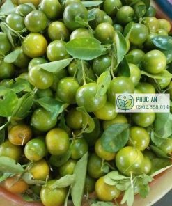 Thu hoạch tắc không hạt