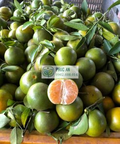 Quýt đường thơm ngọt