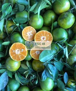 Cận cảnh trái quýt đường
