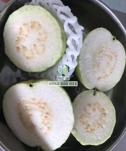 Trái ổi lê Đài Loan