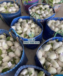 Ổi lê đài loan có năng suất rất cao