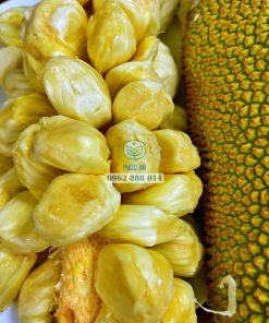 Cận cảnh múi mít tố nữ hương sầu riêng