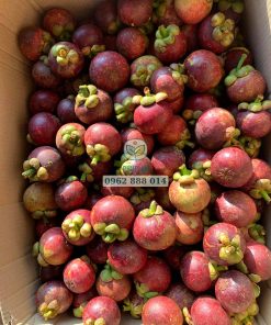 Trái măng cụt chín có màu đỏ tím