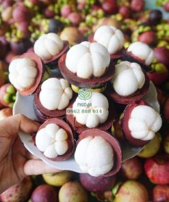 Cận cảnh trái măng cụt thơm ngon