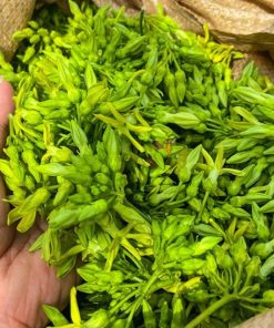 Cận cảnh hoa thiên lý