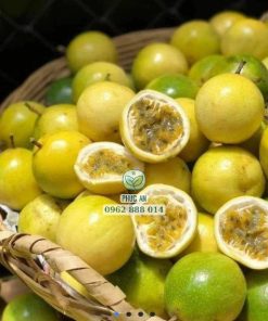 cây giống chanh dây ngọt-cây giống phúc an