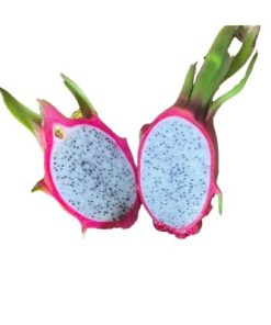 Thanh Long Ruột trắng