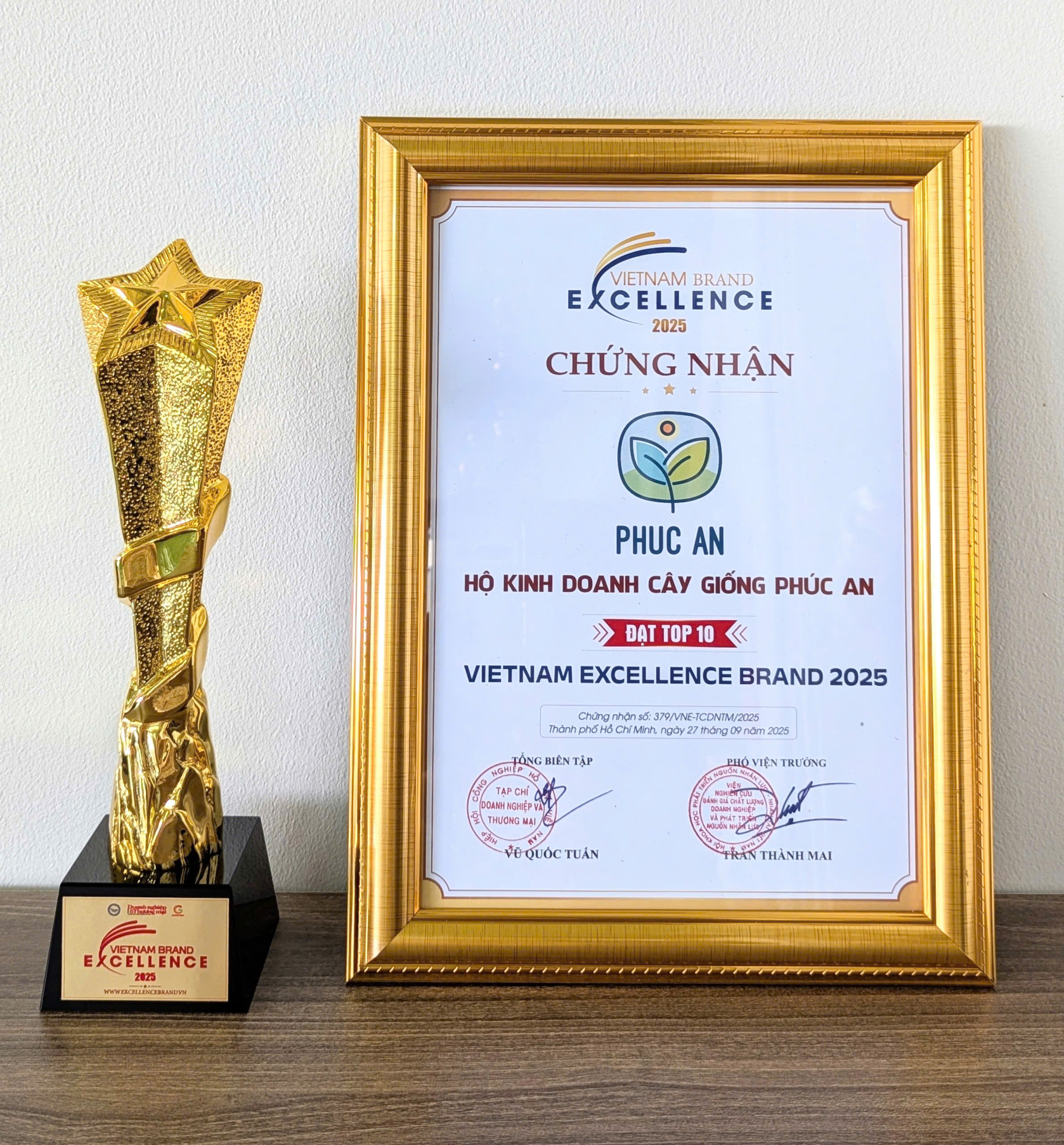 Cây giống phúc an, cơ sở cung cấp cây giống uy tín