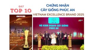 cây giống phúc an được chứng nhận thương hiệu xuất sắc 2025