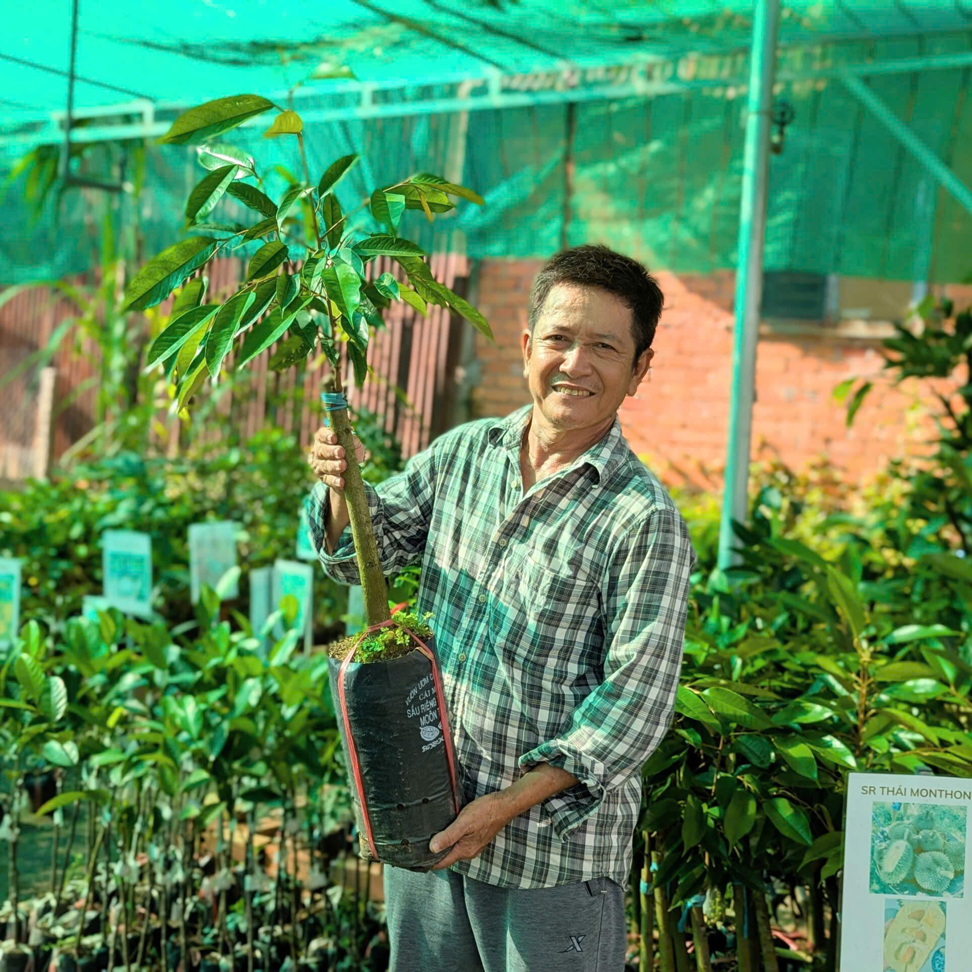 cây giống phúc an cơ sở uy tín