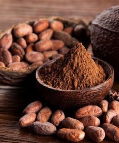 giống ca cao cây giống phúc an