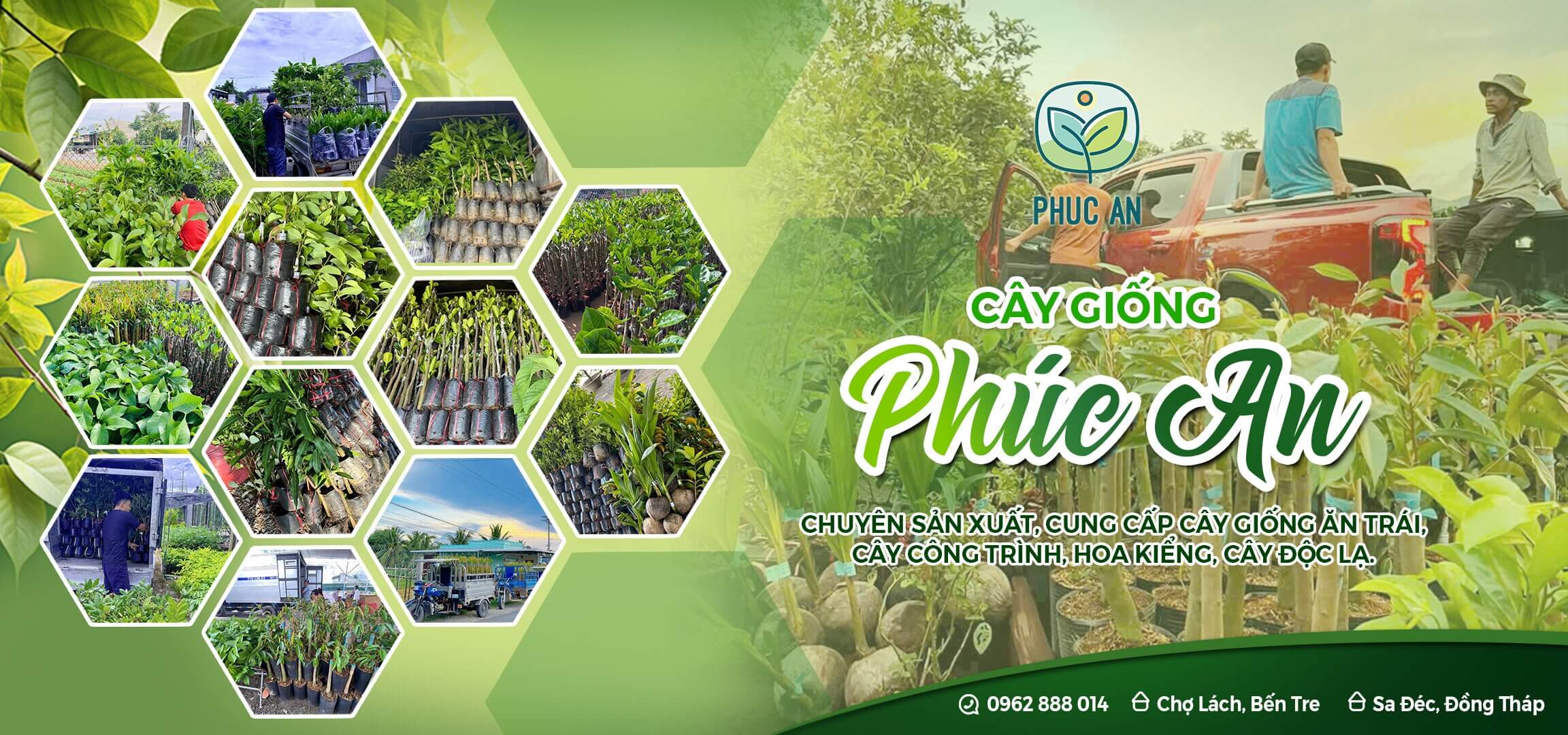 Cây Giống Phúc An - Cơ sở cây giống uy tín tại miền tây