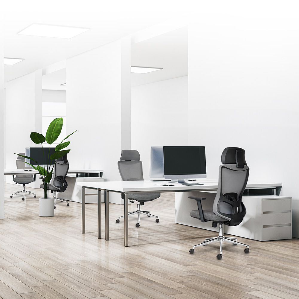 Ghế công thái học M1106 D - 01 - Ảnh 2